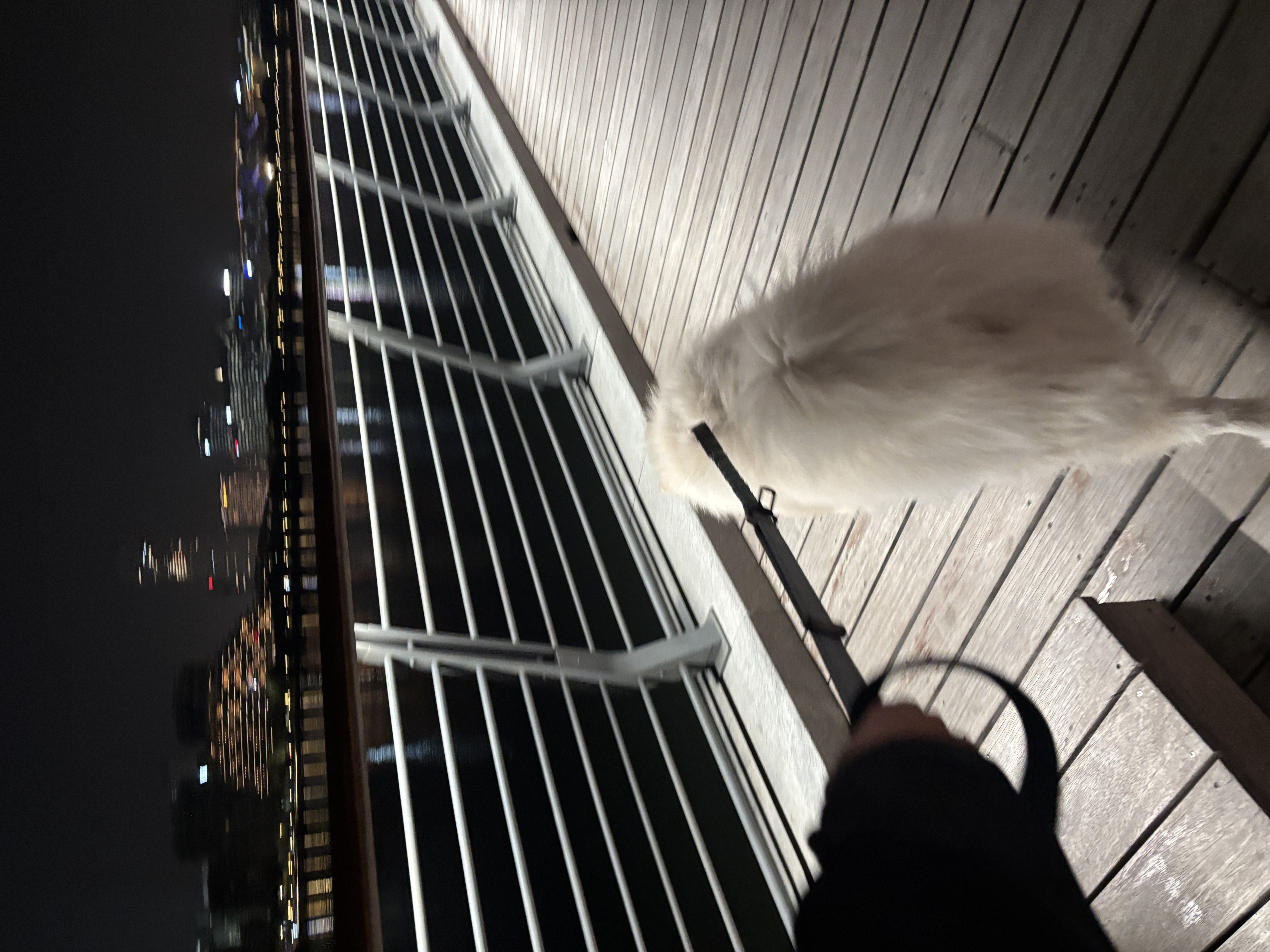 恭喜特斯拉！多了一个漂亮可爱的女车主！ 26岁靠自己拿下！
（花费在p5 当大人真的好贵🥹不过养车成本还可以 50多块钱充电能开400km）
-
一辆车20多w
冬天上班自己开车在车里吹暖风喝热拿铁值10w
带着爸妈和狗狗出去玩值10w
-
买车提车整个过程都自己一个人去操作
甚至买车前只开过三次车
选保险、选配件、上牌、租车位这些是自己去了解做攻略落实好的
感觉自己真是强大的“单亲妈妈”（猫狗的妈🫶
-
一个周末就开了快400km
带琼琼去了好多地方 还送舍友姐妹去高铁站 接朋友下班 带朋友出去玩
真的好好开 买车很值得！
#特别心动的车 #model3 #提车 #提车大吉 #提车需要满满仪式感 @芒果小鹿