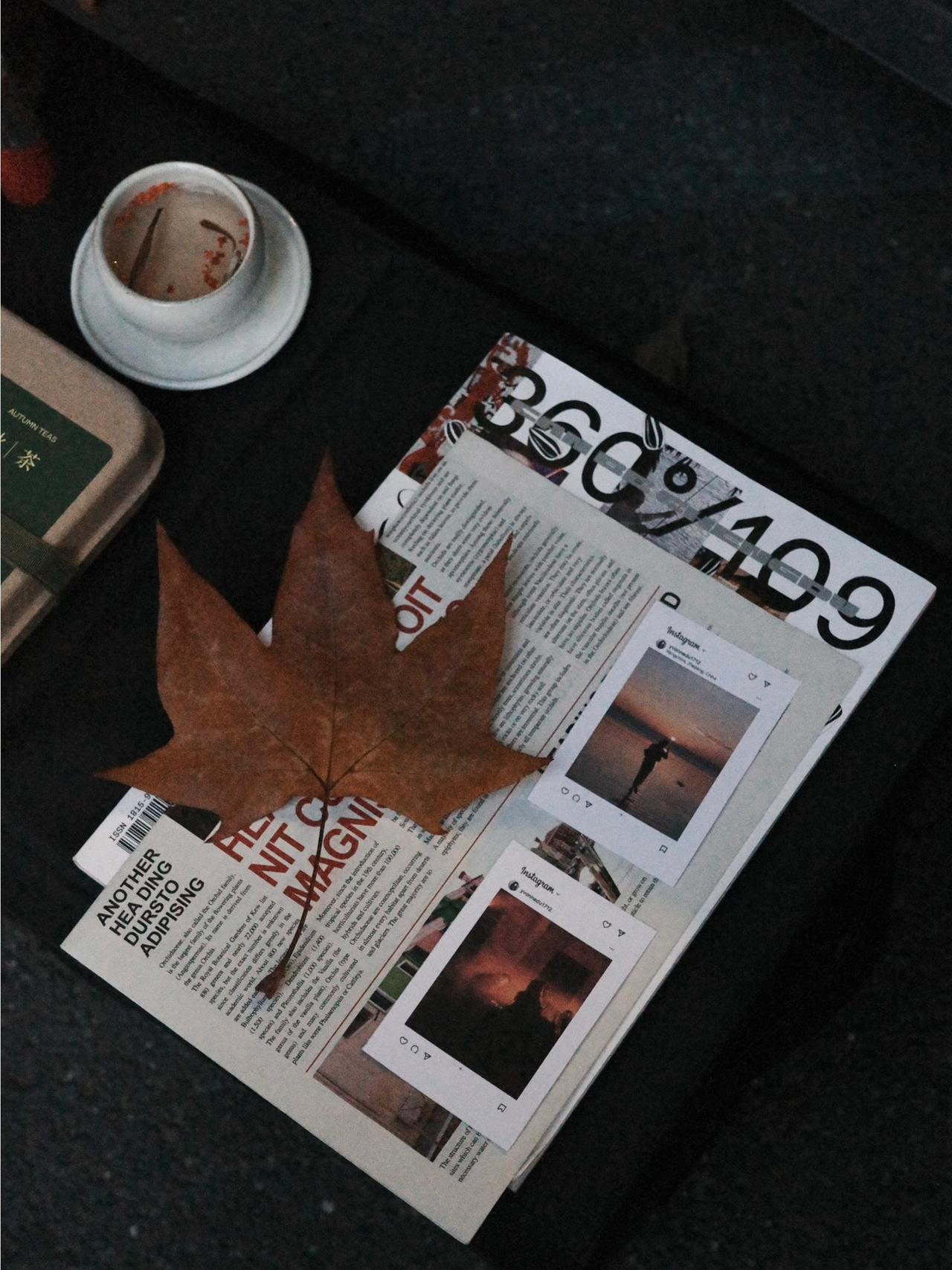 🔴𝚃𝚎𝚜𝚕𝚊|“循环在自己的喜欢里” 梧桐叶缓缓飘落的午后,
打开后备箱——露营椅,
一杯桂花茶,一小棵圣诞树。
不多,却足够让这个十二月的缝隙透进光。
风穿过枝桠,
沙沙声里藏着时间的密语。
最简单的拥有,
往往最接近自由。
在循环的日常里,
打捞属于自己的粼粼波光。
#汽车博主 #特斯拉 #女生车内饰 #12月 #圣诞氛围 #圣诞树装饰 #特斯拉modely #女性成长 #碎片是生活的记录 #后备箱露营 @➰YY.