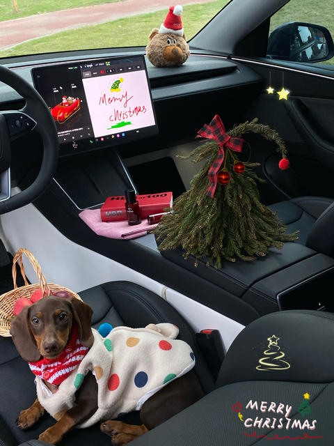 Tesla🎄|❤️带狗子🐶体验圣诞座驾~ 圣诞的仪式感~
是和我的“小乘客”🐶在移动城堡里独享这一刻
车里暖暖的 放着《Last Christmas 》🍎
她好奇地望向窗外
对我而言 最好的圣
