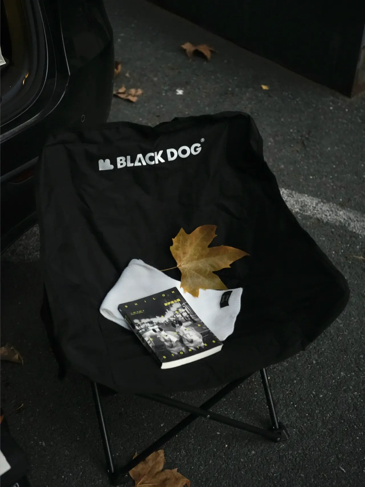 🔴𝚃𝚎𝚜𝚕𝚊|“愿初冬的阳光洒满生活” 冬天,是个万物沉淀的季节。
世界慢下来,连光线都变得慵懒。
人却容易在这时候,
清晰地感知到幸福的存在。
和同事打开后备箱,摆上露营椅。
泡一壶热茶,坐在渐渐西斜的阳光里。
只是这样坐着,感受风轻、茶温、叶落。
在万物沉寂的季节里,
听见自己心里那细碎而清晰的回响。
停下来,只是感受。
🌿 冬天快乐,
愿你也有这样一个被阳光抚摸的午后。
#或许今年的冬天更值得期待 #汽车博主 #特斯拉 #女生车内饰 #特斯拉modely #后备箱露营 #汽车露营 #圣诞氛围 #风开始有冬天的味道了 #女性成长 @➰YY.