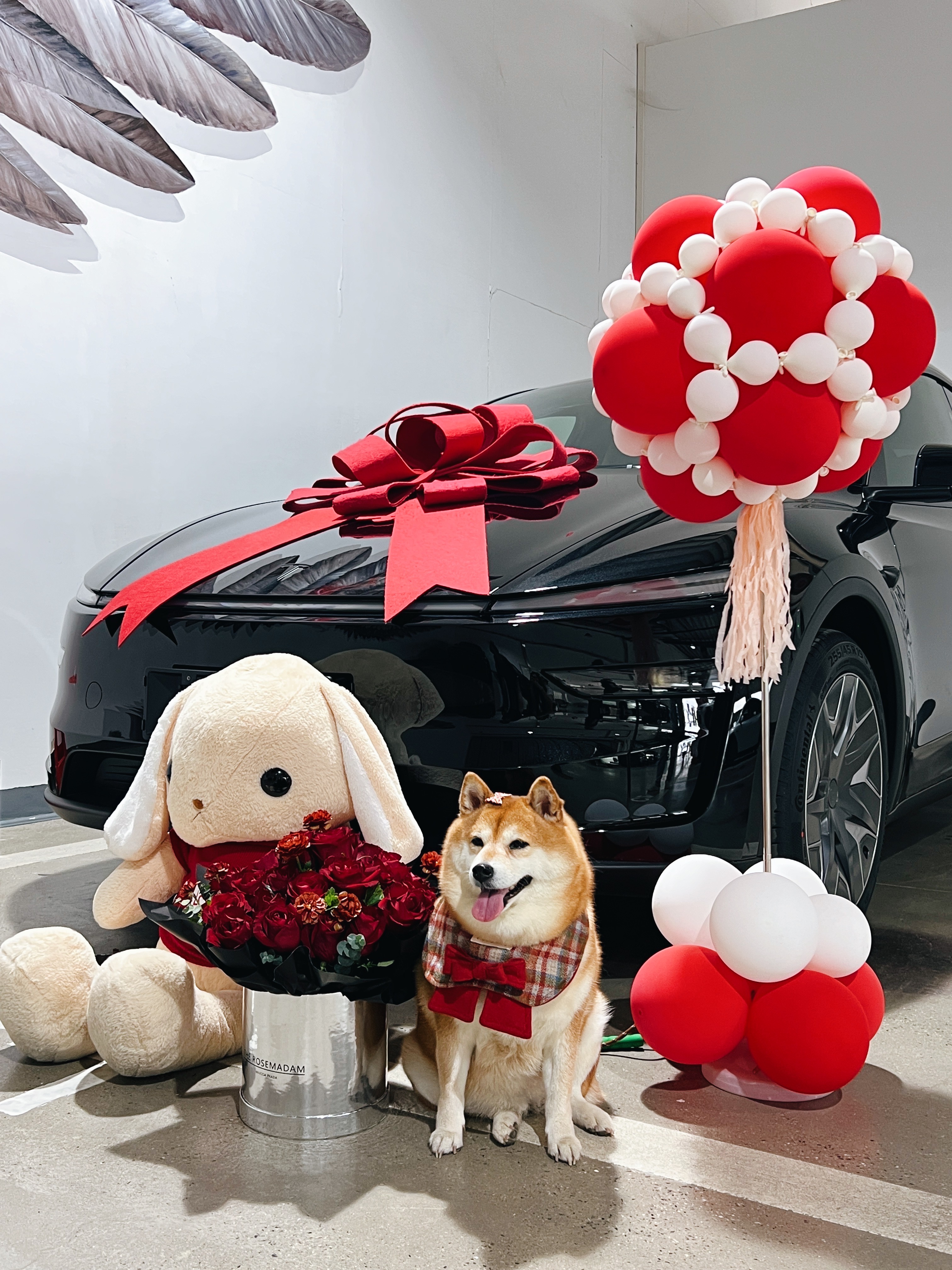 🥳各位！快看👉🏻我妈提新车啦！！ 提车当然要记录呀🎉🎉
特斯拉Model YL女车主前来报到🖤
还是黑色好看！！好喜欢呀！！🖤
#小红书养宠倡议 #柴犬 #喜提新车 #买车和买菜一样日常 #宠物生活月刊 #特斯拉 #特斯拉YL #特斯拉宠物模式 #特斯拉提车 #特斯拉提车攻略 @WiFi猪猪