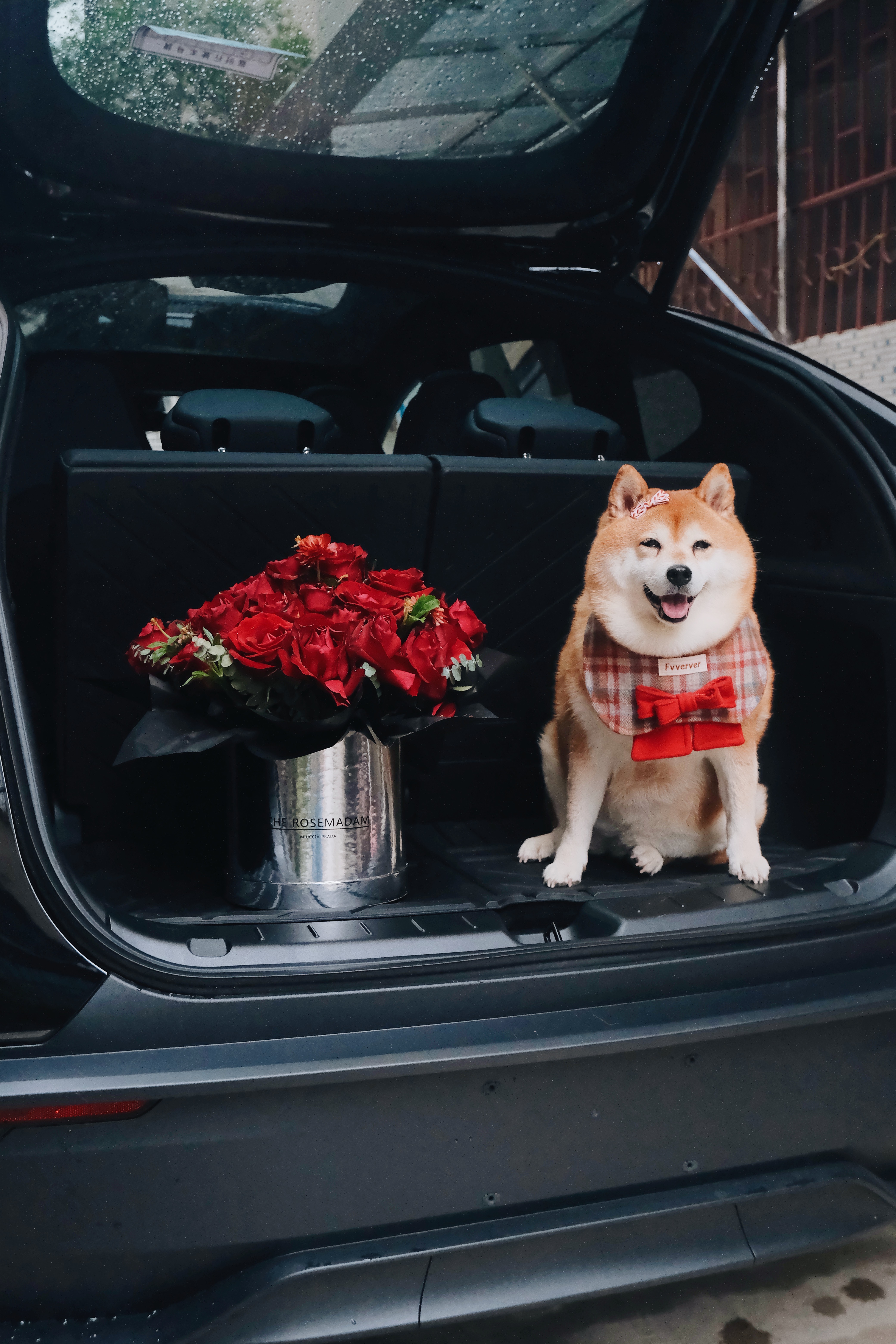 🥳各位！快看👉🏻我妈提新车啦！！ 提车当然要记录呀🎉🎉
特斯拉Model YL女车主前来报到🖤
还是黑色好看！！好喜欢呀！！🖤
#小红书养宠倡议 #柴犬 #喜提新车 #买车和买菜一样日常 #宠物生活月刊 #特斯拉 #特斯拉YL #特斯拉宠物模式 #特斯拉提车 #特斯拉提车攻略 @WiFi猪猪