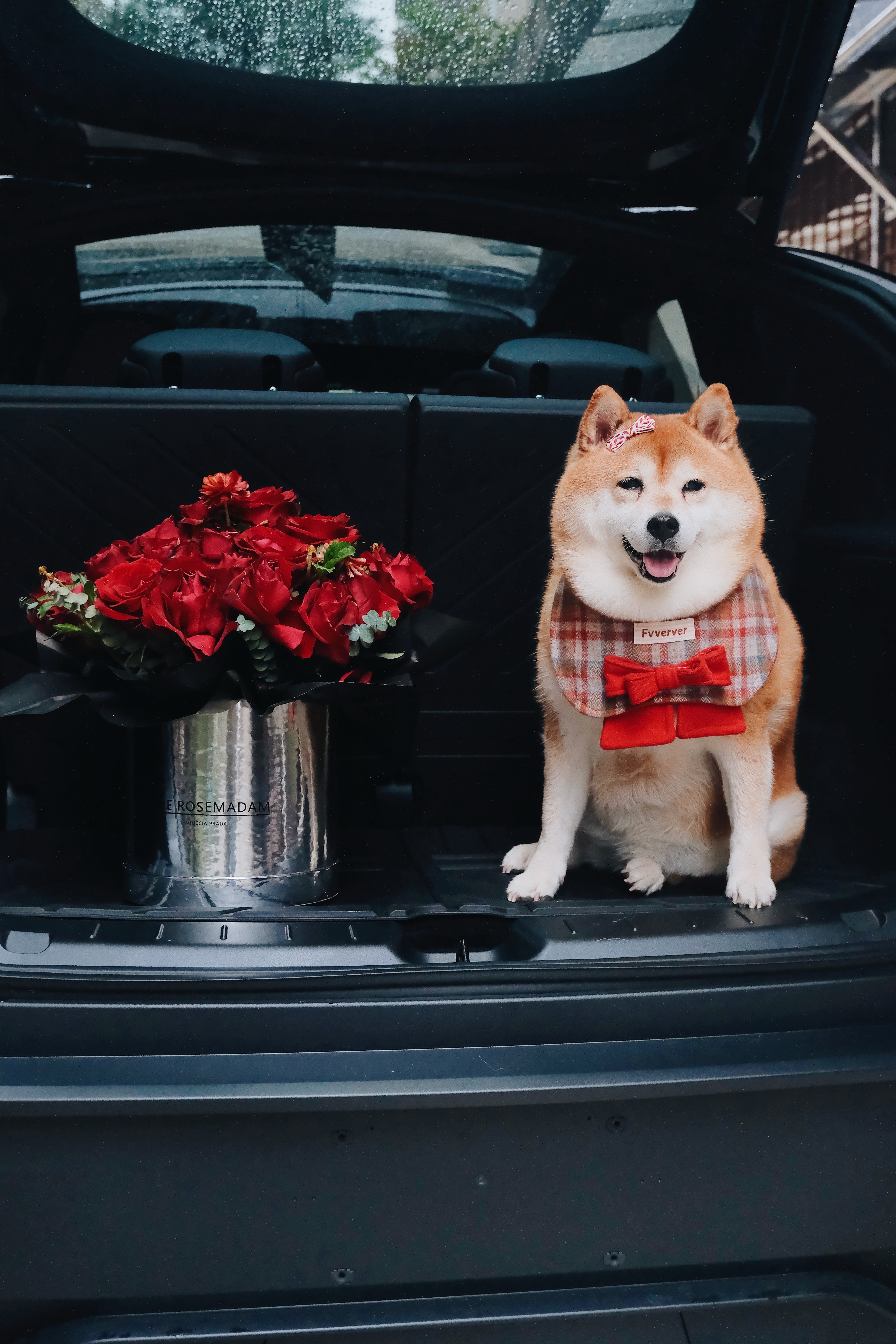 🥳各位！快看👉🏻我妈提新车啦！！ 提车当然要记录呀🎉🎉
特斯拉Model YL女车主前来报到🖤
还是黑色好看！！好喜欢呀！！🖤
#小红书养宠倡议 #柴犬 #喜提新车 #买车和买菜一样日常 #宠物生活月刊 #特斯拉 #特斯拉YL #特斯拉宠物模式 #特斯拉提车 #特斯拉提车攻略 @WiFi猪猪