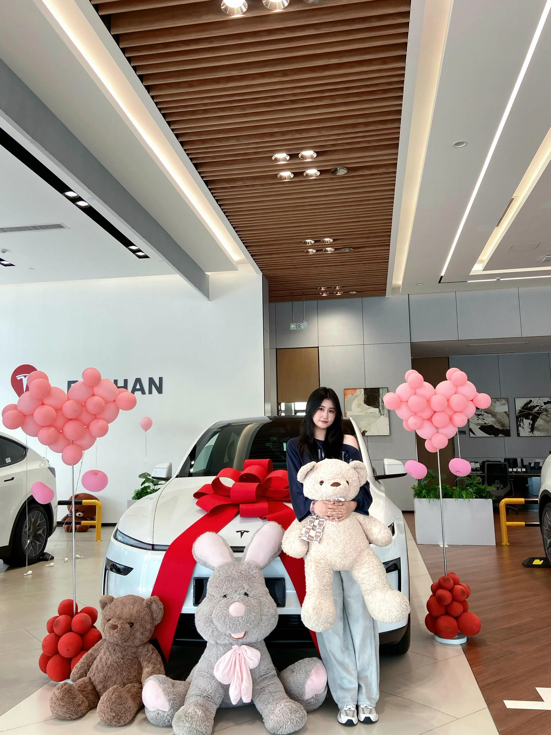 Tesla🚗 小小鼠标收入囊中🥳 #大玩具 #提车 #特斯拉 #提车日记#modely @7in